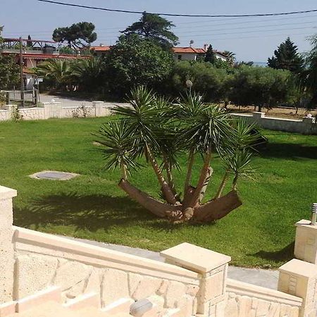 ניאה סקיוני Paradisos Apartments מראה חיצוני תמונה